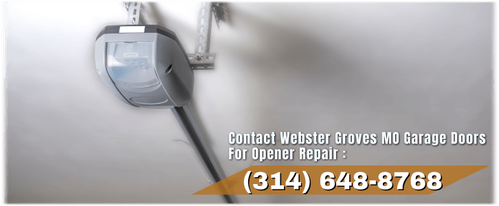 Garage Door Opener Repair And Installation Webster Groves MO