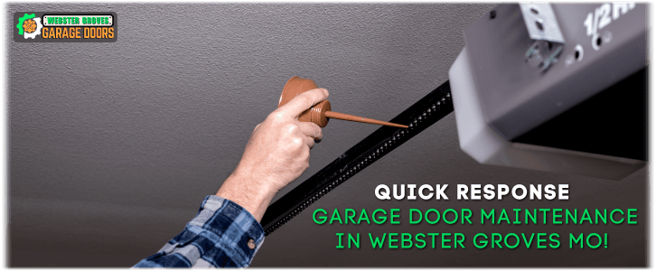 Garage Door Maintenance Webster Groves MO